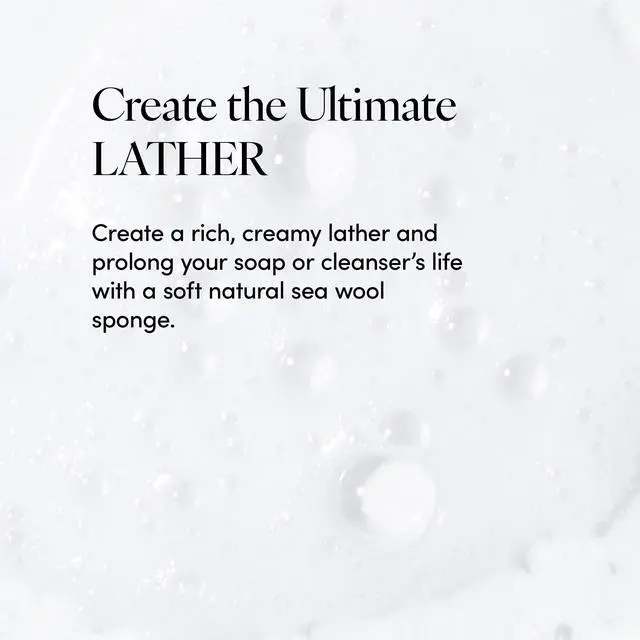 Alt view image 4 of 7 - Natural Sea Wool Sponge, 5-6" - Organic Exfoliating Body Scrubber - Soft, Gentle Cleansing - Hypoallergenic - All Skin Types - Florida Natural Loofah Sponge - Cruelty Free - Beauty & Skincare