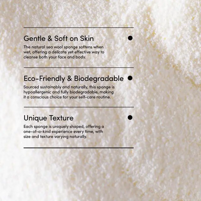 Alt view image 5 of 7 - Natural Sea Wool Sponge, 5-6" - Organic Exfoliating Body Scrubber - Soft, Gentle Cleansing - Hypoallergenic - All Skin Types - Florida Natural Loofah Sponge - Cruelty Free - Beauty & Skincare