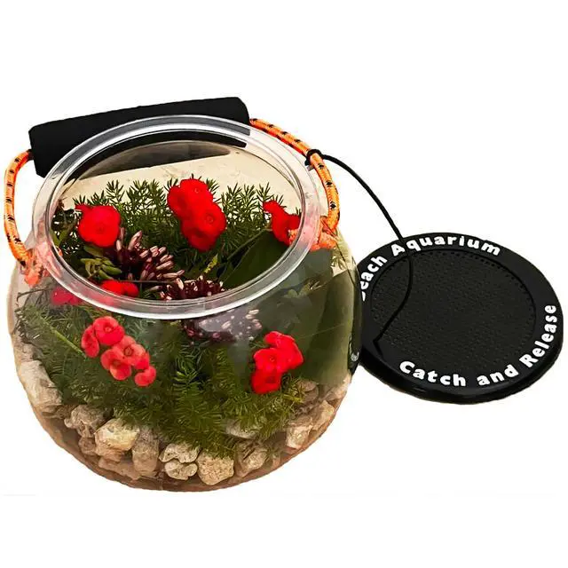 Alt view image 7 of 7 - Dry Branch Sports Design Catch and Release Beach Aquarium Kit , Clear