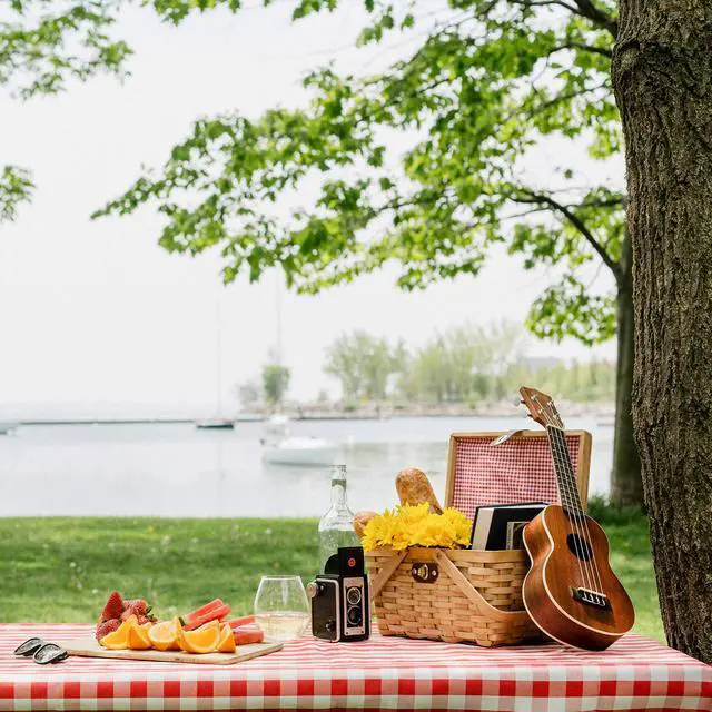 Alt view image 4 of 5 - Wickerwise Gingham Lined Woodchip Picnic Basket with Lid and Movable Handles