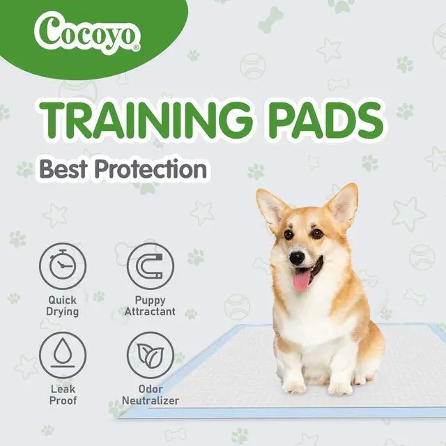 Alt view image 2 of 6 - Best Value Training Pads 100 Count 13 by 17.7| Dog Pee Pads | Super Absorbent Puppy Pads,Blue