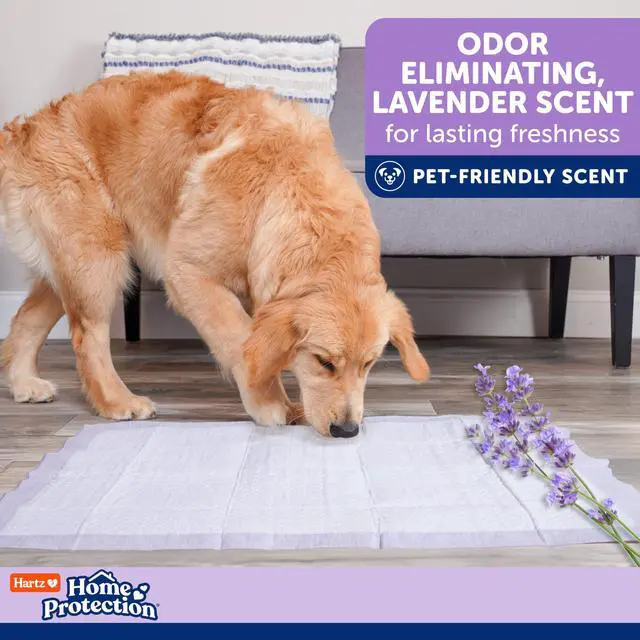 Alt view image 6 of 7 - Home Protection Lavender Scented Odor Eliminating Dog Pads, 50 Count