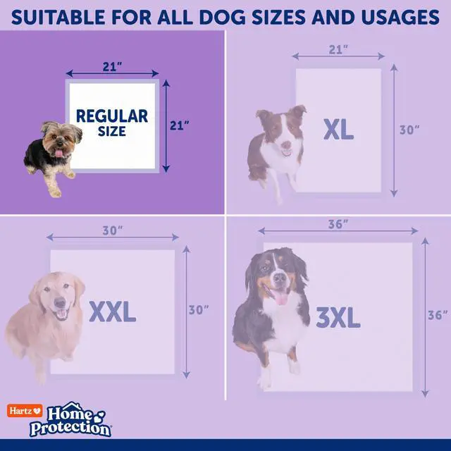 Alt view image 7 of 7 - Home Protection Lavender Scented Odor Eliminating Dog Pads, 50 Count