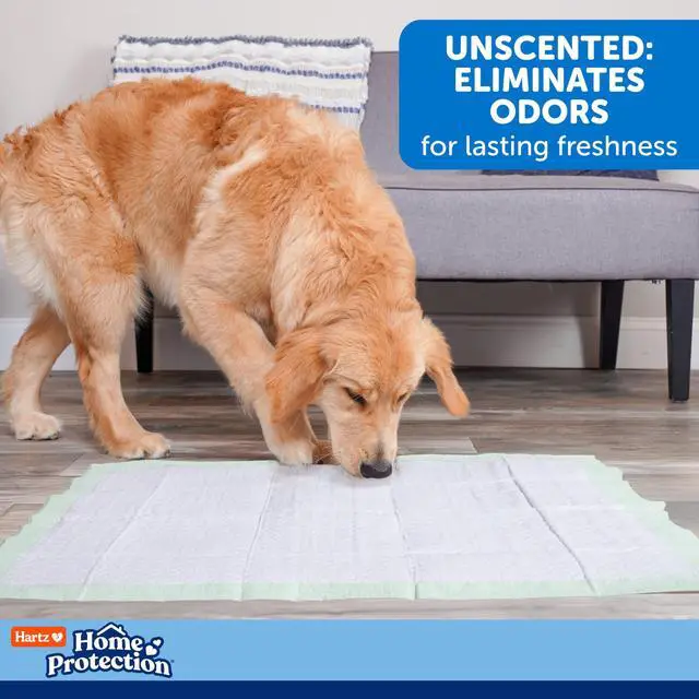 Alt view image 6 of 6 - Home Protection Super Absorbent Odor Eliminating No Leaks Dog Pads, 50 Count