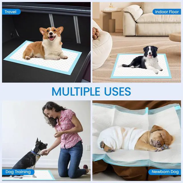 Alt view image 6 of 6 - 22" x 23" Pee Pads for Dogs, 6 Layers Super Absorbent,10 Count