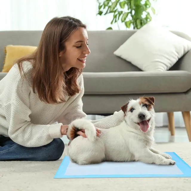 Alt view image 2 of 7 - Super Absorbent Waterproof Dog and Puppy Pet Training Pad, Housebreaking Pet Pad,Blue (17.6"x23.6" (50PCS))