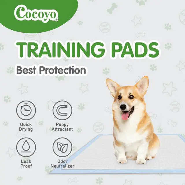 Alt view image 4 of 6 - Best Value Dog Training Pads Giant Size | Dog Pee Pads XXXL Size | Super Absorbent Puppy Pads (30" x 45", 30 Count) (XXXL)