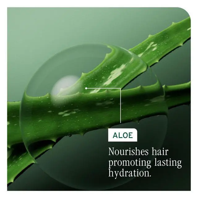 Alt view image 6 of 7 - Hydra Source Shampoo For Dry Hair, 13.5 fl oz
