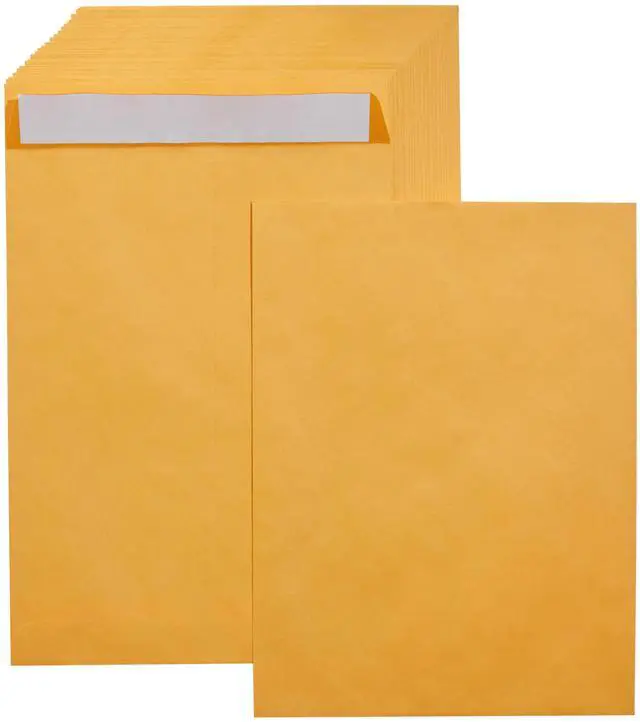 Main image of Catalog Mailing Envelopes, Peel and Seal, 9" x 12", Brown Kraft, 100-Pack