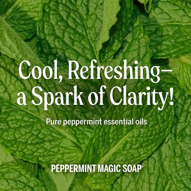 Alt view image 5 of 7 - Pure-Castile Magic Liquid Soap - Made with Regenerative Organic Certified Oils- 18-in-1 Uses for Face, Body, Hand, Hair, Laundry & More- Vegan, Non-GMO- Body Wash- Peppermint,32oz