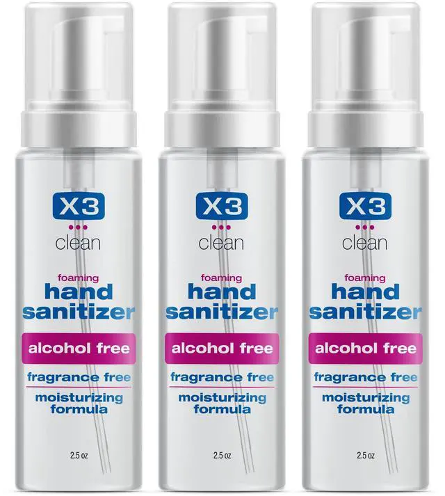Main image of Foaming Hand Sanitizer, Alcohol Free and Fragrance Free, Kills 99.9% Germs, Moisturizing Formula, Travel Size 2.5 oz (3 Pack)