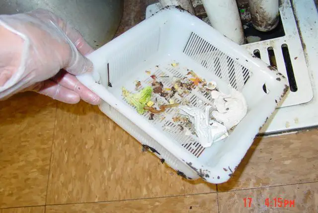 Alt view image 2 of 4 - 8.5" Floor Sink Basket, for Restaurant Floor Sink drains, Prevent Drain Clogs with the Original Drain-Net Basket