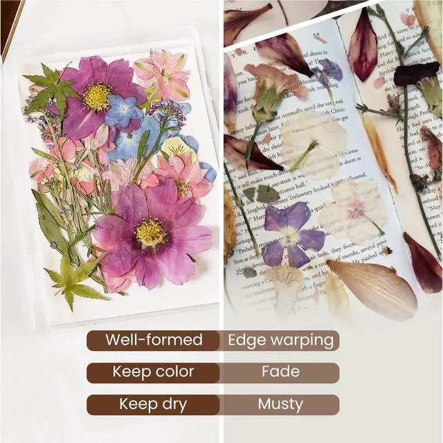 Alt view image 3 of 7 - 4PCS Dried Flower Storage Set with Blotting Paper