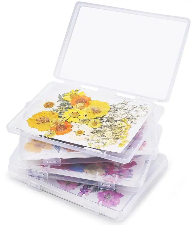 Main image of 4PCS Dried Flower Storage Set with Blotting Paper
