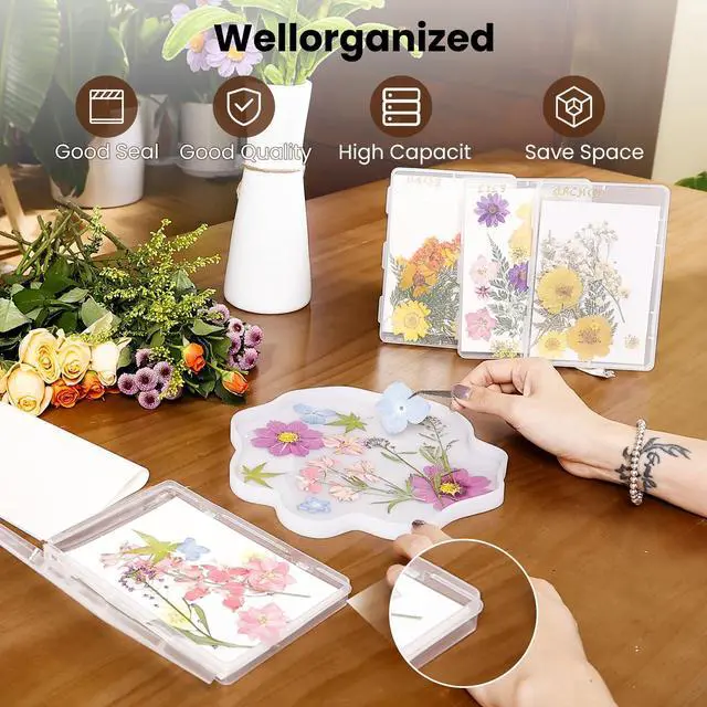 Alt view image 4 of 7 - 4PCS Dried Flower Storage Set with Blotting Paper