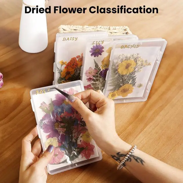 Alt view image 7 of 7 - 4PCS Dried Flower Storage Set with Blotting Paper