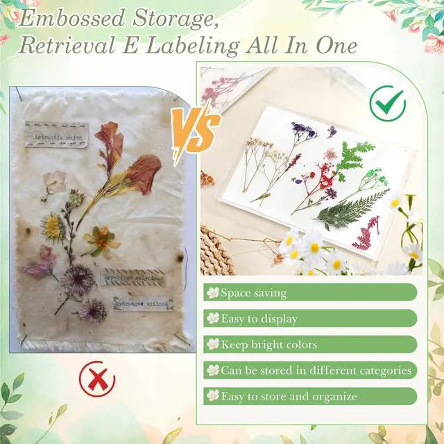 Alt view image 4 of 6 - 5 Pcs Large Dried Flower Storage Box Set (8.58" x 6.14"), Flower Preservation Kit with A4 Size Blotting Paper, Letter Stickers, Desiccant for DIY Pressed Crafts & Wedding Bouquet