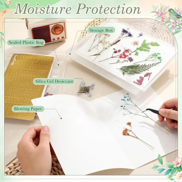Alt view image 3 of 6 - 5 Pcs Large Dried Flower Storage Box Set (8.58" x 6.14"), Flower Preservation Kit with A4 Size Blotting Paper, Letter Stickers, Desiccant for DIY Pressed Crafts & Wedding Bouquet