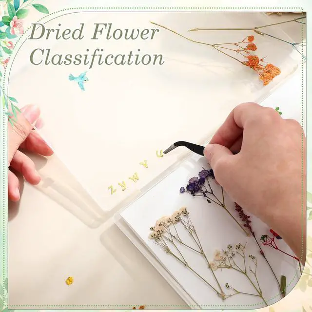 Alt view image 6 of 6 - 5 Pcs Large Dried Flower Storage Box Set (8.58" x 6.14"), Flower Preservation Kit with A4 Size Blotting Paper, Letter Stickers, Desiccant for DIY Pressed Crafts & Wedding Bouquet