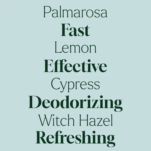 Alt view image 4 of 7 - Home Deodorizing Room Spray 4 oz