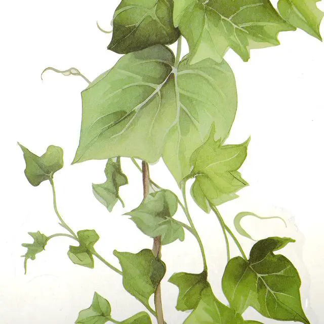 Alt view image 7 of 7 - Green Leafy Vine Wall Stickers Decor 4 Pcs Green Natural Plant Wall Decals Peel and Stick Leaf Wall Stickers for Living Room Bedroom Classroom Kitchen Art Decorations