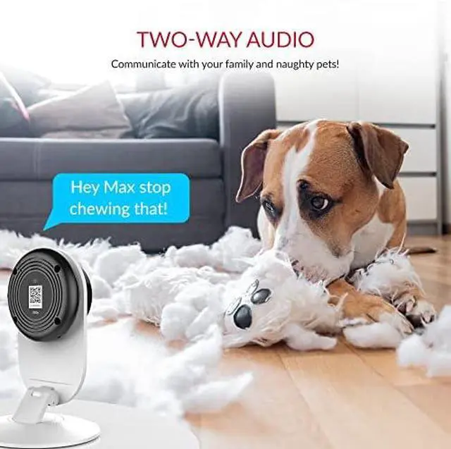 Alt view image 4 of 7 - YI Pro 2K 4PC Home Security Camera, 2.4Ghz Indoor Camera with Person, Vehicle, Animal Detection, Phone App for Baby, Pet, Dog Monitoring, Compatible with Alexa and Google Assistant