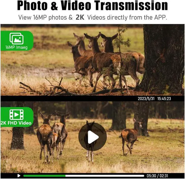Alt view image 6 of 7 - 2K 4G Solar Trail Camera 940nm Infrared PIR Waterproof Wildlife Hunting Cam