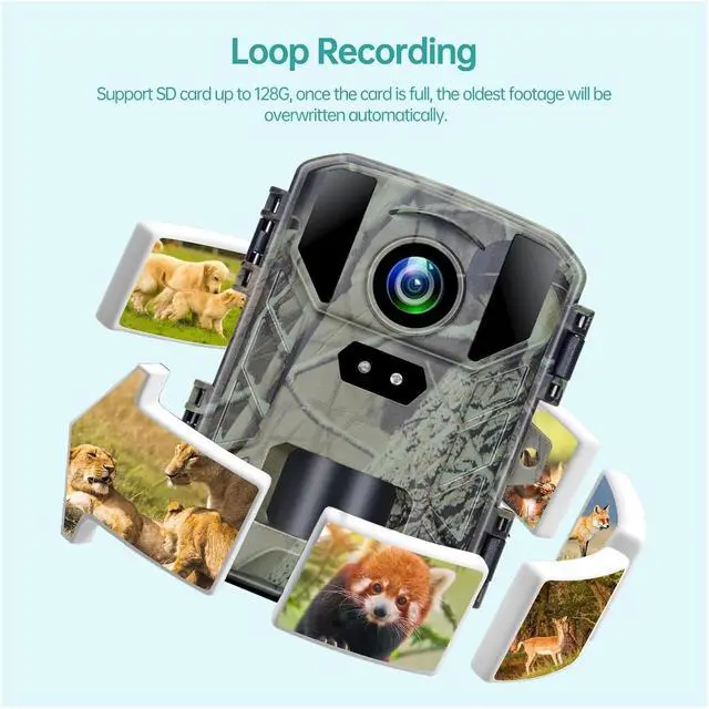 Alt view image 6 of 7 - 50MP Mini800 Trail Camera 4K Wildlife Hunting Cam Night Vision