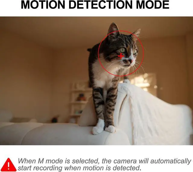 Alt view image 5 of 7 - Photo Frame Hidden Camera Mini Spy Video Recorder, Nanny Cam No WiFi