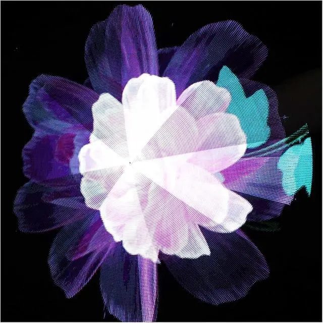 Alt view image 6 of 6 - LIAMOS 45CM 3D LED Holographic Projector Display Fan Hologram Advertising Projection Player,High-Resolution 3D Hologram
