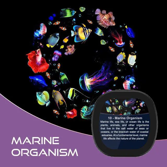 Alt view image 7 of 7 - Set of 6 Replaceable Galaxy Projector Discs for Samosvit Home Planetarium Galaxy Projector with Meteor Effect Projection disc Set (Thematic Nebulas 1/6) Galaxy Disc