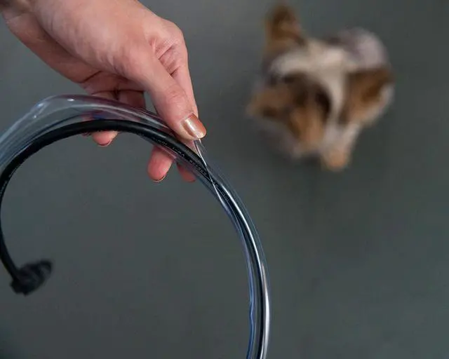 Alt view image 4 of 7 - PetCords Dog and Cat Cord Protector- Protects Your Pets from Chewing Through Insulated Cables (Heavy DUTY-10FT, Clear)