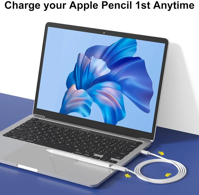 Alt view image 6 of 7 - USB-C Pencil 1st Generation Adapter 3.3 FT Charging Cable for Apple Pencil Pen 1st Gen Match for iPad 10 11 (A16) Bluetooth Pairing Type C Charger Male to Female for Lightning iPencil Connector Cord