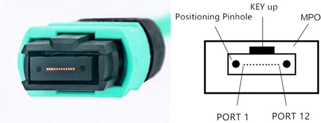 Alt view image 3 of 5 - MPO-MPO OM3 Fiber Patch Cord, 12-core, A/B Type, 3-m/15m(10m,12C Female-Female B)
