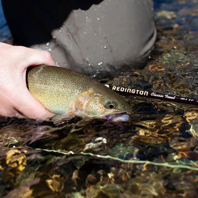 Alt view image 7 of 7 - Classic Trout Freshwater Fly Fishing Rod - Moderate Action 4-Piece Fly Rod - Case Included