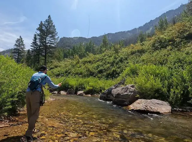 Alt view image 5 of 7 - DRAGONtail Kaida zx320 Multi-Length Tenkara Pack Rod