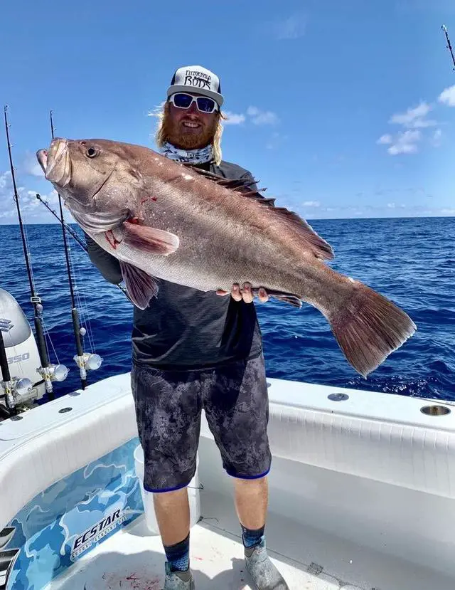 Alt view image 6 of 7 - Fitzgerald Stunner HD Saltwater Offshore Spinning Rod Series Heavy Duty Fishing