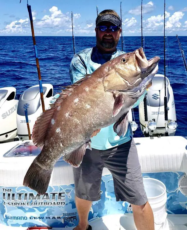 Alt view image 7 of 7 - Fitzgerald Stunner HD Saltwater Offshore Spinning Rod Series Heavy Duty Fishing