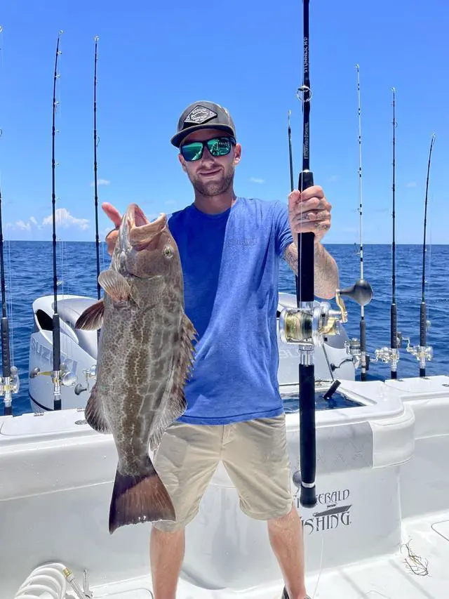 Alt view image 7 of 7 - Fitzgerald Stunner HD Saltwater Offshore Spinning Rod Series Heavy Duty Fishing