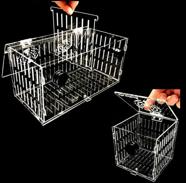 Main image of Magnetic Acclimation Box Large / 16x6x8