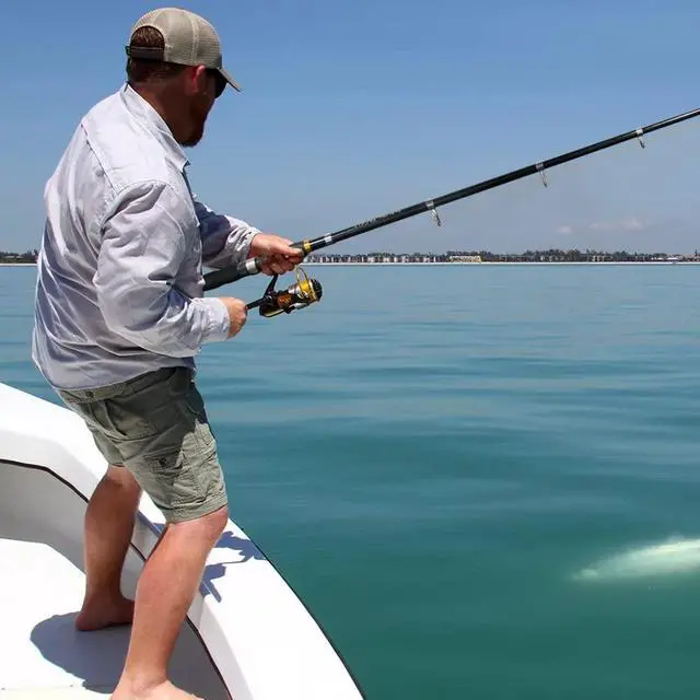 Alt view image 4 of 5 - Collapsible Fishing Rod and Reel Combo, Telescopic Fishing Rod with Spinning Reel, Portable Collapsible Fishing Pole Kit for Saltwater and Freshwater Ideal Fishing Gift