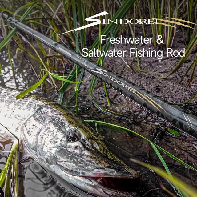 Alt view image 2 of 7 - SINDOREI Heavy Fishing Rod, 2-Piece Heavy Casting & Spinning Rod | Big Game Rod Suitable for Swimbaits Jigs Catfish Musky Striper, Freshwater & Inshore Saltwater