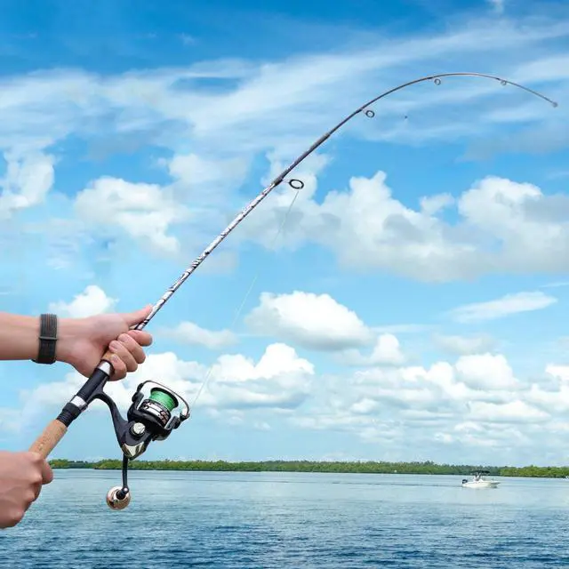 Alt view image 6 of 7 - Spinning & Casting Rods, Strong Carbon&Glass Composite Fishing Rod with Stainless Steel Line Guides for Bass, Trout, Panfish, Catfish