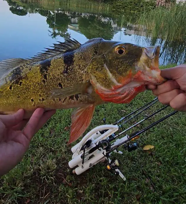 Alt view image 7 of 7 - Fishing Rod Carrier | Pro 5 Portable Rod Rack