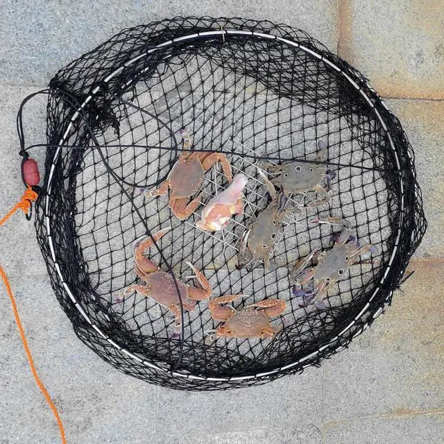 Alt view image 5 of 6 - Crab Ring Trap Two Ring Crab Kit with Harness and Bait Clip Fishing Crabbing Net for Board Kayak Dock and Pier Net