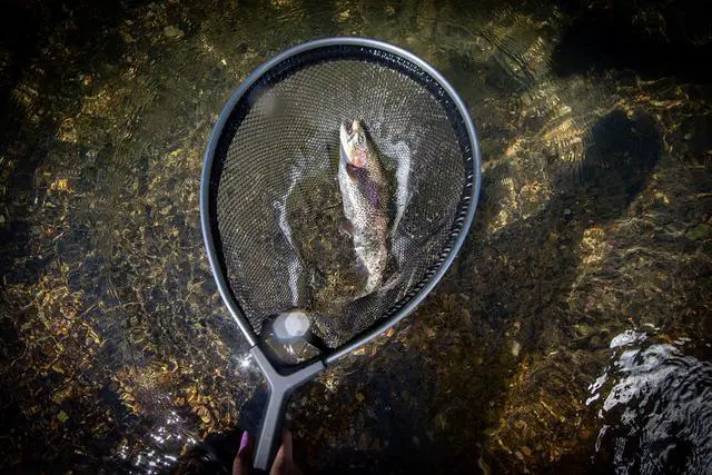 Alt view image 2 of 7 - Floating Trout Net