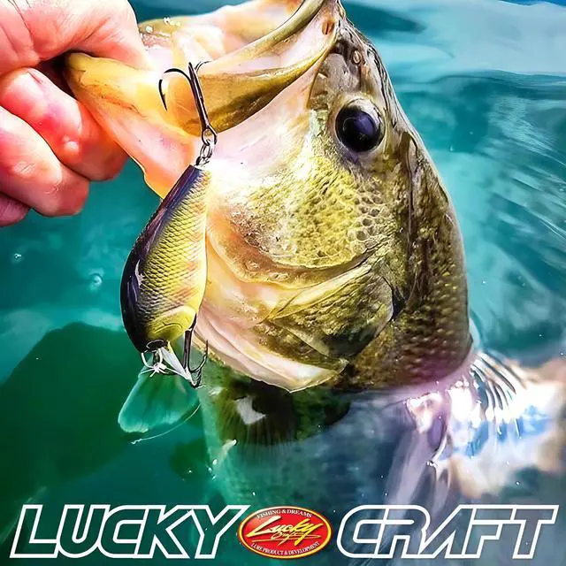 Alt view image 6 of 7 - Pond Bass Premium Box, 7 Freshwater Fishing Lures for Pond and Lake Fish, Mystery Selection Tackle Box with Surprise Bass Lures, Fishing Gear Accessories