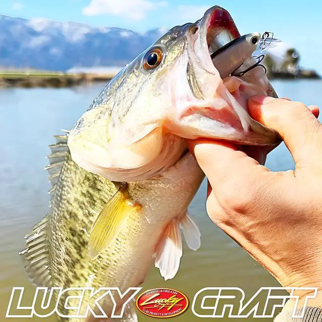 Alt view image 7 of 7 - Pond Bass Premium Box, 7 Freshwater Fishing Lures for Pond and Lake Fish, Mystery Selection Tackle Box with Surprise Bass Lures, Fishing Gear Accessories