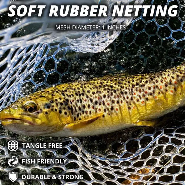 Alt view image 5 of 7 - Long Collapsible Landing Net, Large Fishing Net with Telescoping Handle, Foldable, Extendable, Lightweight & Strong, Fish Net with Fish-Friendly Mesh for a Safe Release