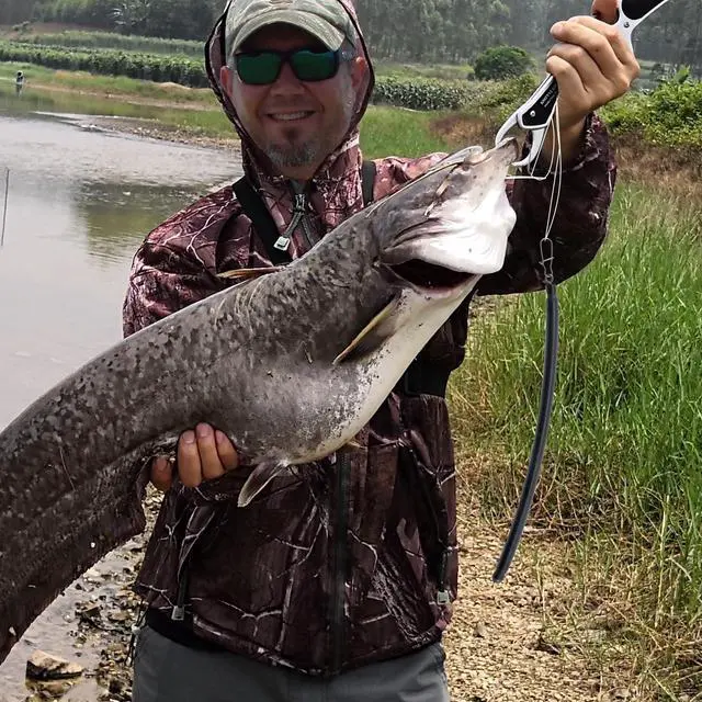 Alt view image 7 of 7 - 6 Pack Dragging Weights for Catfishing, Drifting Weight Freshwater Fishing Sinkers Bottom Search Slip Stick Trolling Catfish Tackle Gear